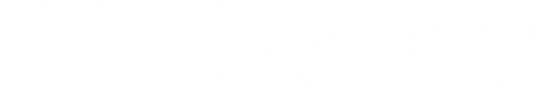 Logo Autoglas Spezialist in Rheinstetten-Mörsch