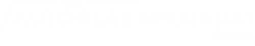 Logo Autoglas Spezialist in Riesa