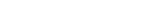 Logo Autoglas Spezialist in Saal-Reißing