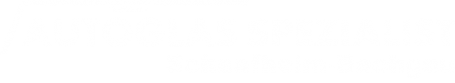 Logo Autoglas Spezialist in Schaafheim-Bachgau