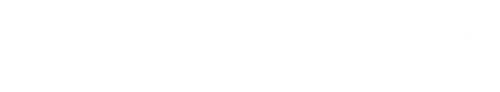 Logo Autoglas Spezialist in Scheibenberg