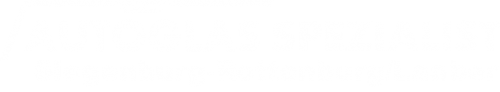 Logo Autoglas Spezialist in Siegenburg-Rottenburg/Laaber