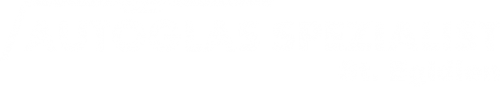 Logo Autoglas Spezialist in St. Egidien