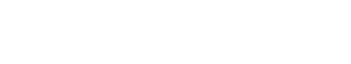 Logo Autoglas Spezialist in Steinfurt