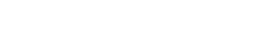 Logo Autoglas Spezialist in Steinfurt