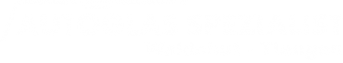 Logo Autoglas Spezialist in Waldshut - Tiengen
