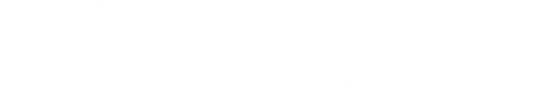Logo Autoglas Spezialist in Wölfersheim