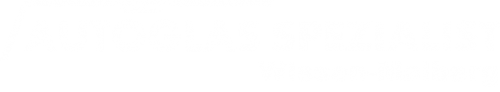 Logo Autoglas Spezialist in Wissen