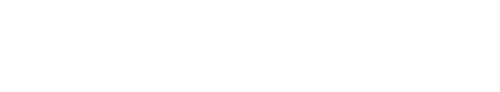 Logo Autoglas Spezialist in Wyhl